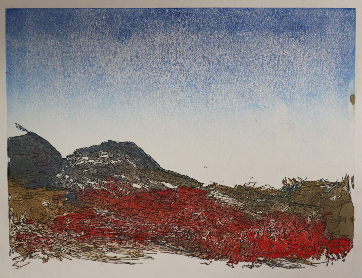 New Mexico Landscape #2