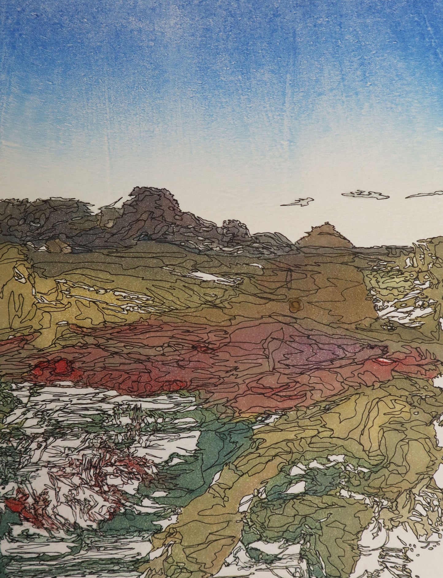 New Mexico Landscape #3