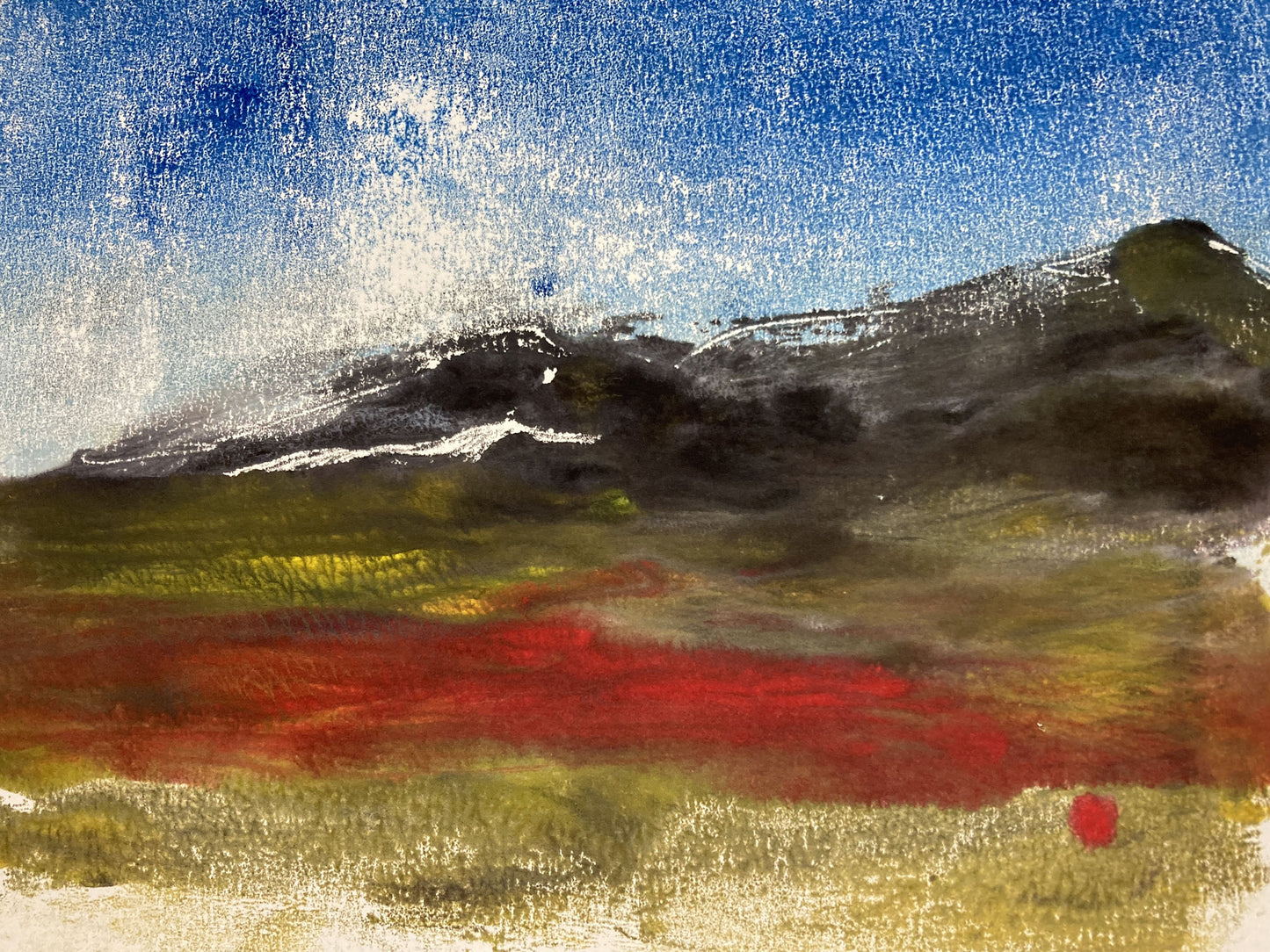 New Mexico Landscape #4