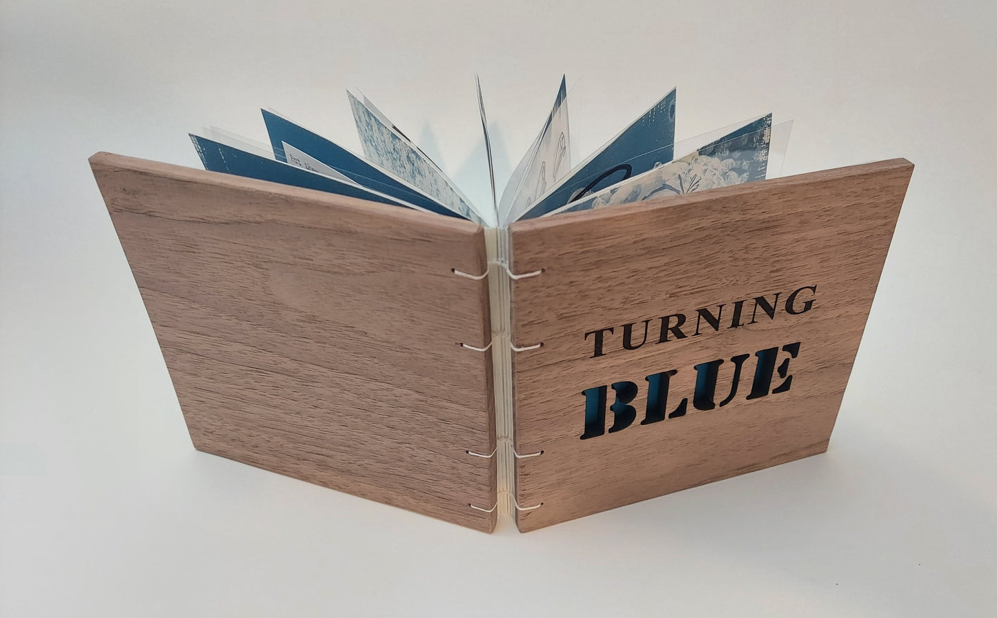 Whitney_Broadaway_TurningBlue_Full