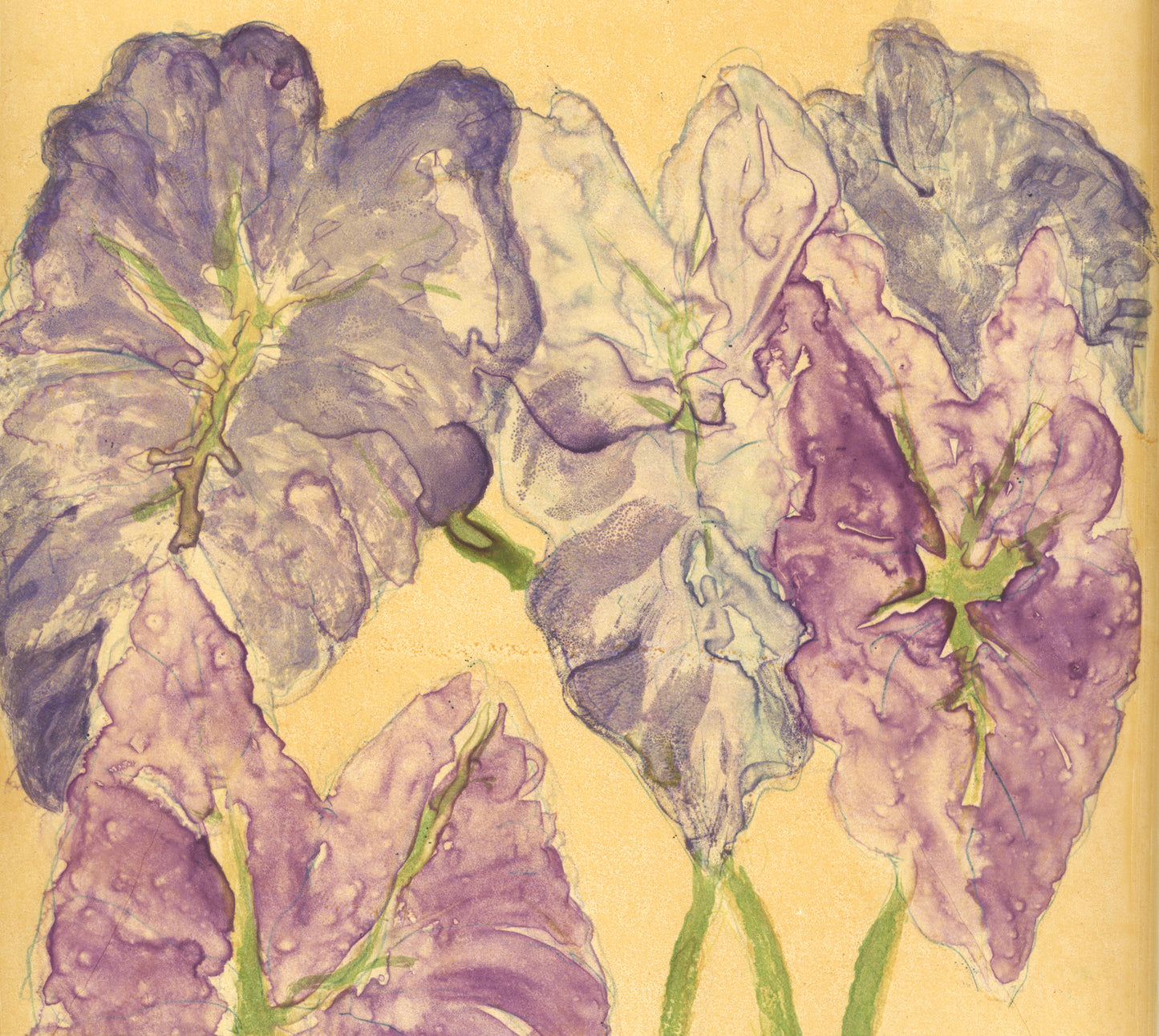 The Layered Voice: A 3-Day Monotype Intensive (May 1-3, 2026)