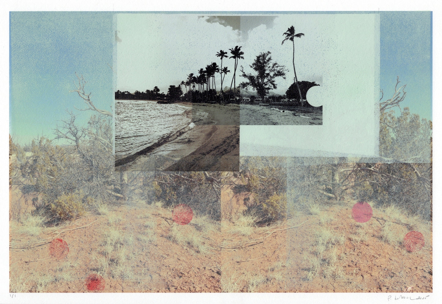 Landlocked (palm trees)