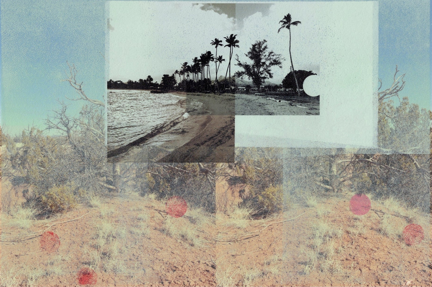 Landlocked (palm trees)