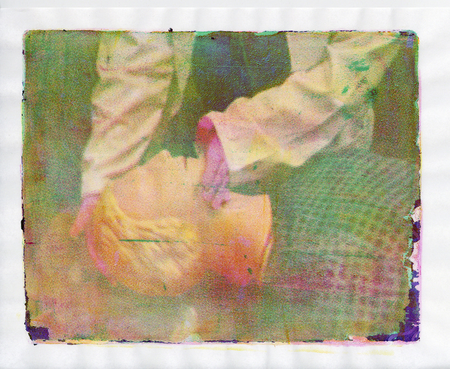 CPR Study No.12