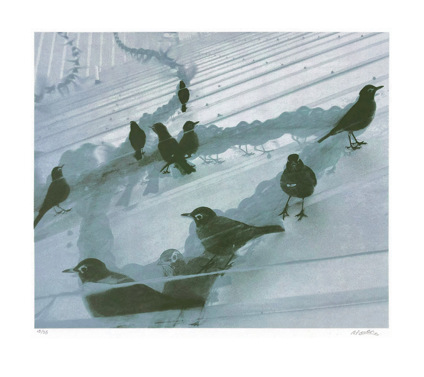 untitled (Robins on roof)