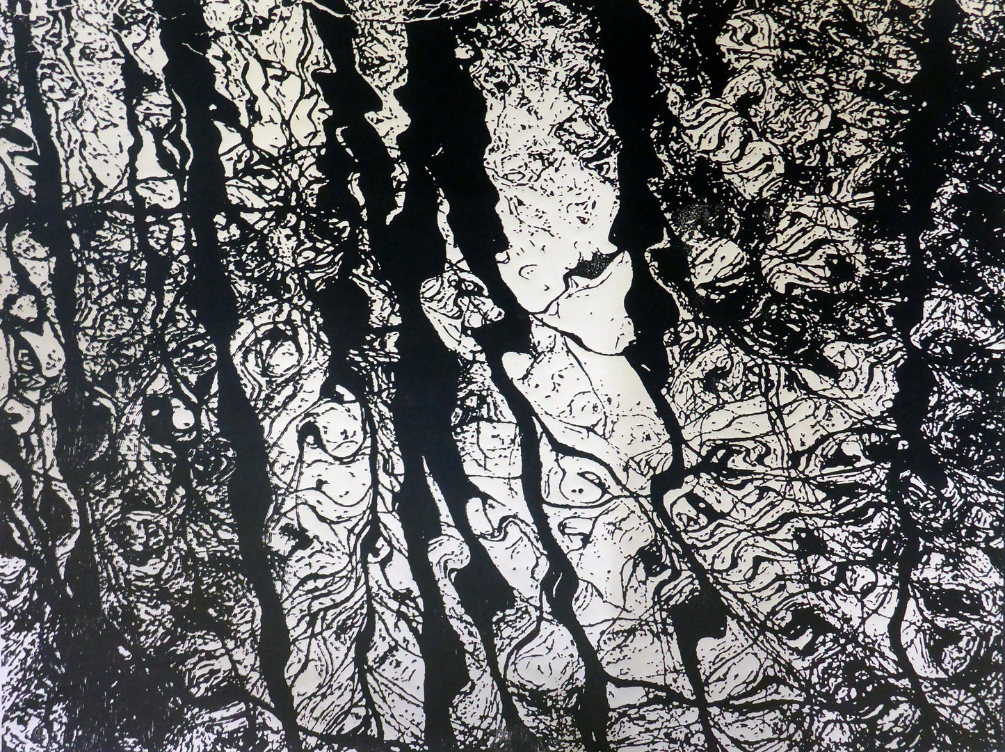 Gallup Park tree reflections