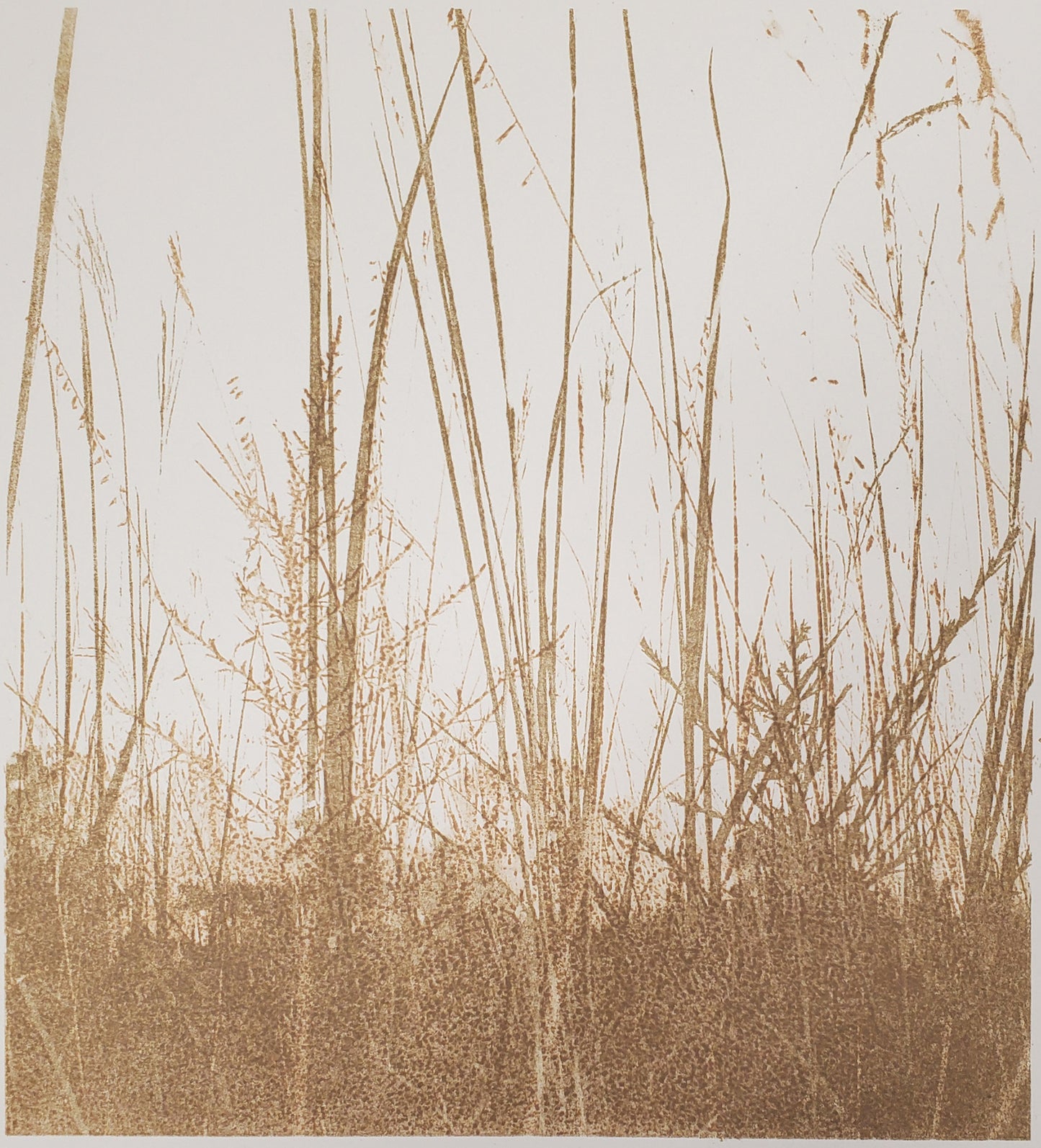 Last Summer's Prairie