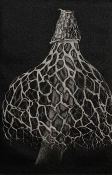 Wanna Rock? Intro to Mezzotint! (November 22-23)