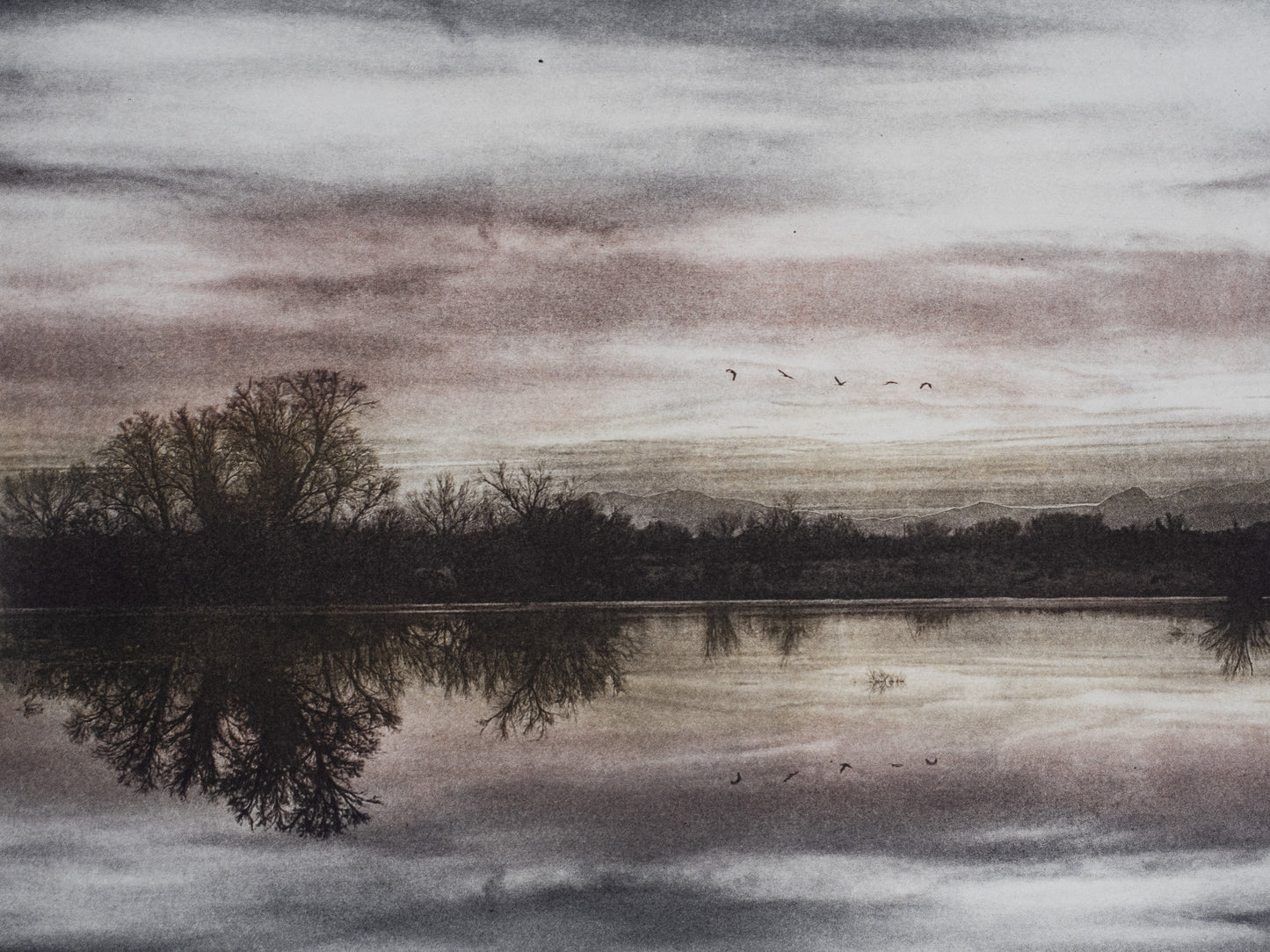 Five Cranes Descending