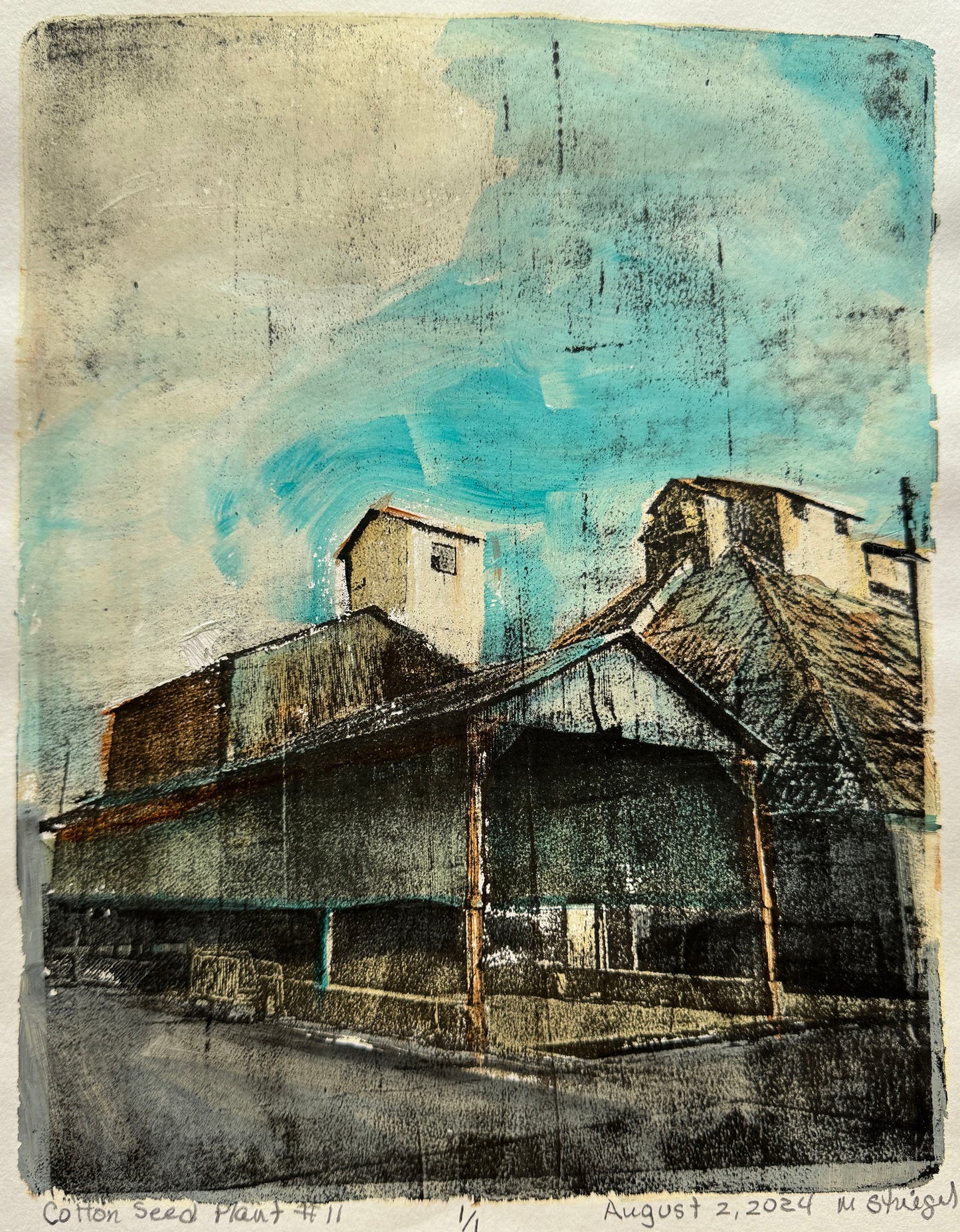 Cotton Seed Plant #11