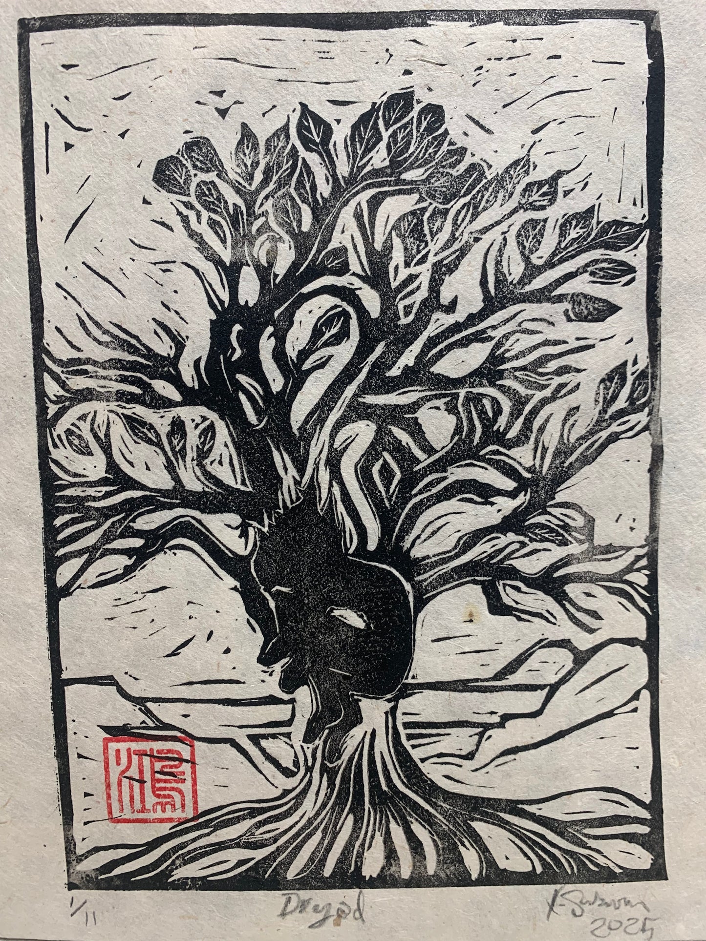 Dryad