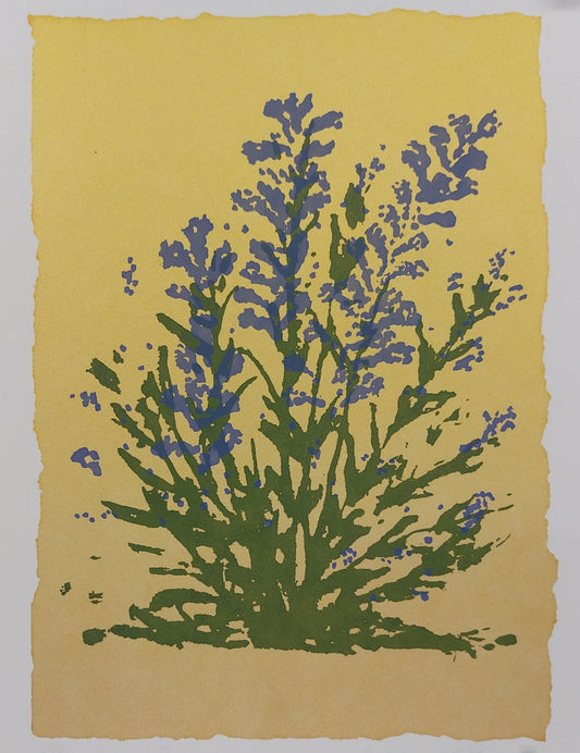 Screen Printing Open Studio with Anne Steen  (Sat. May 2)