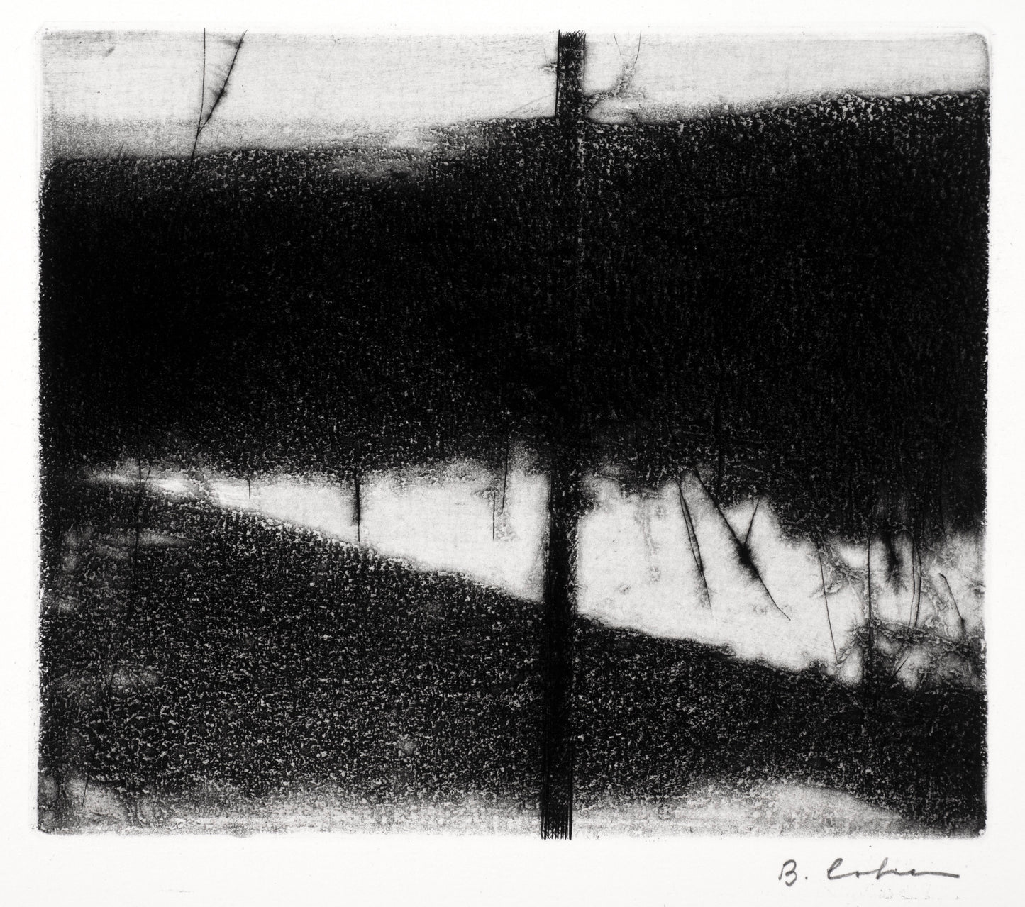 Tree, Saxtons River