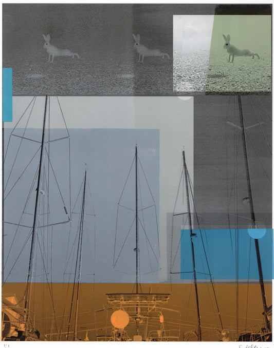 Landlocked (Masts & Planks)