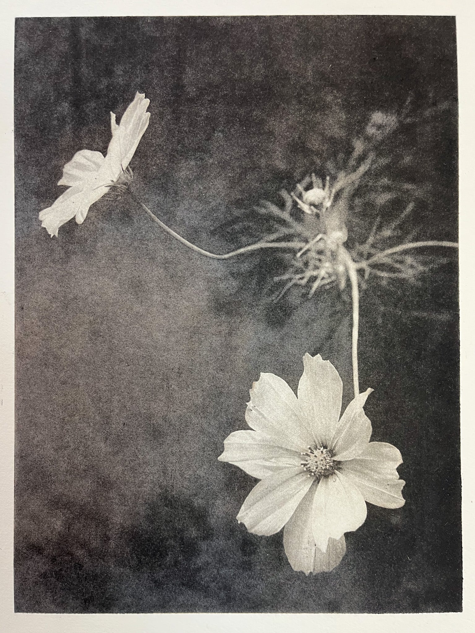 Workshops 2 – Remarque Print Workshop