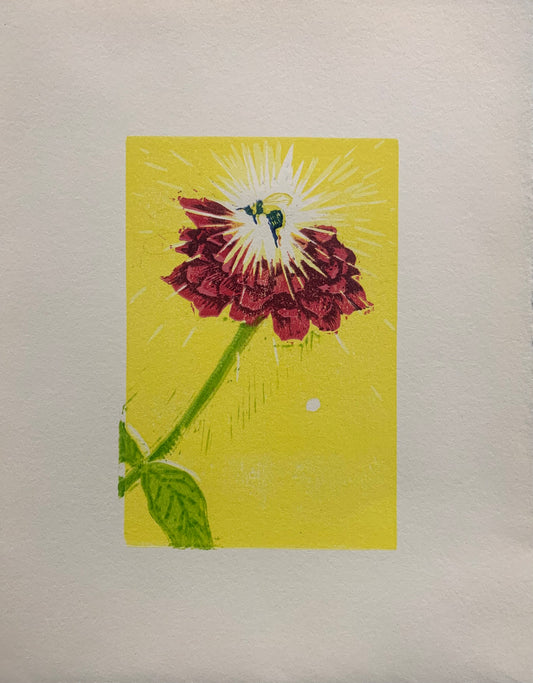 I Spy: A Natural Fairy