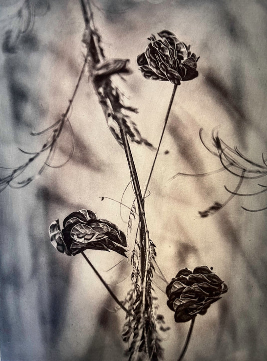 Trivium Unfolding
