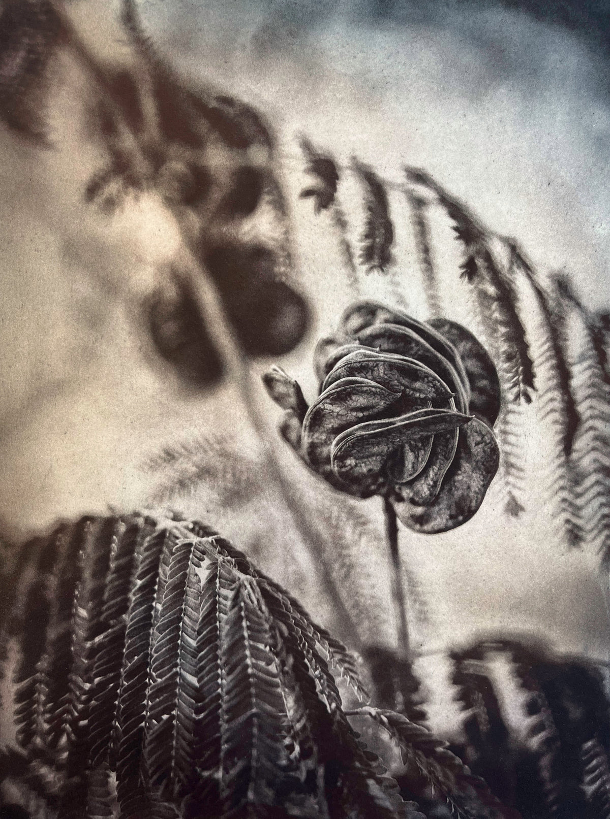 Transient Thought