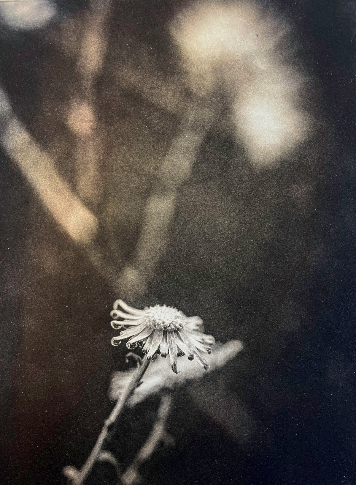 Form into Substance
