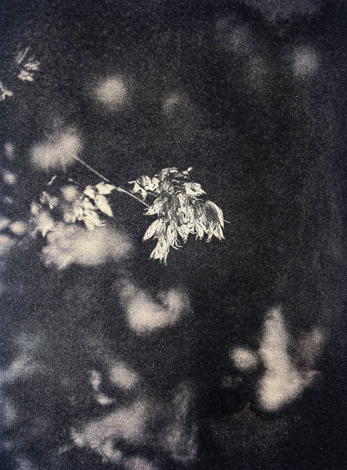 Last Traces III