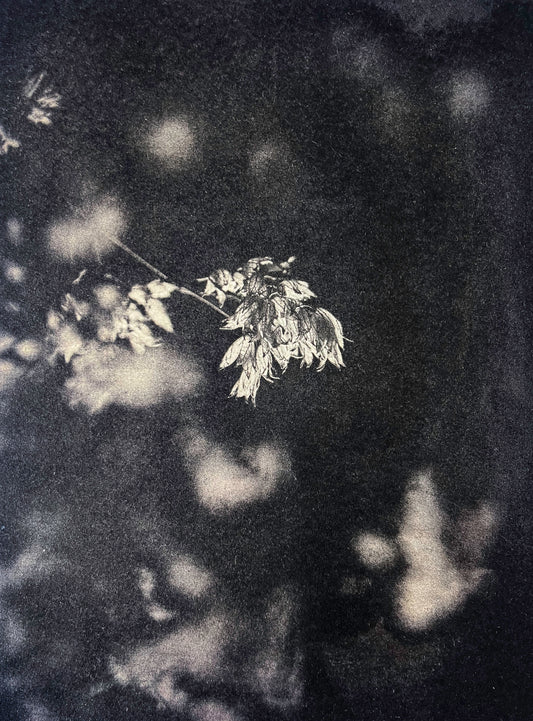Last Traces III