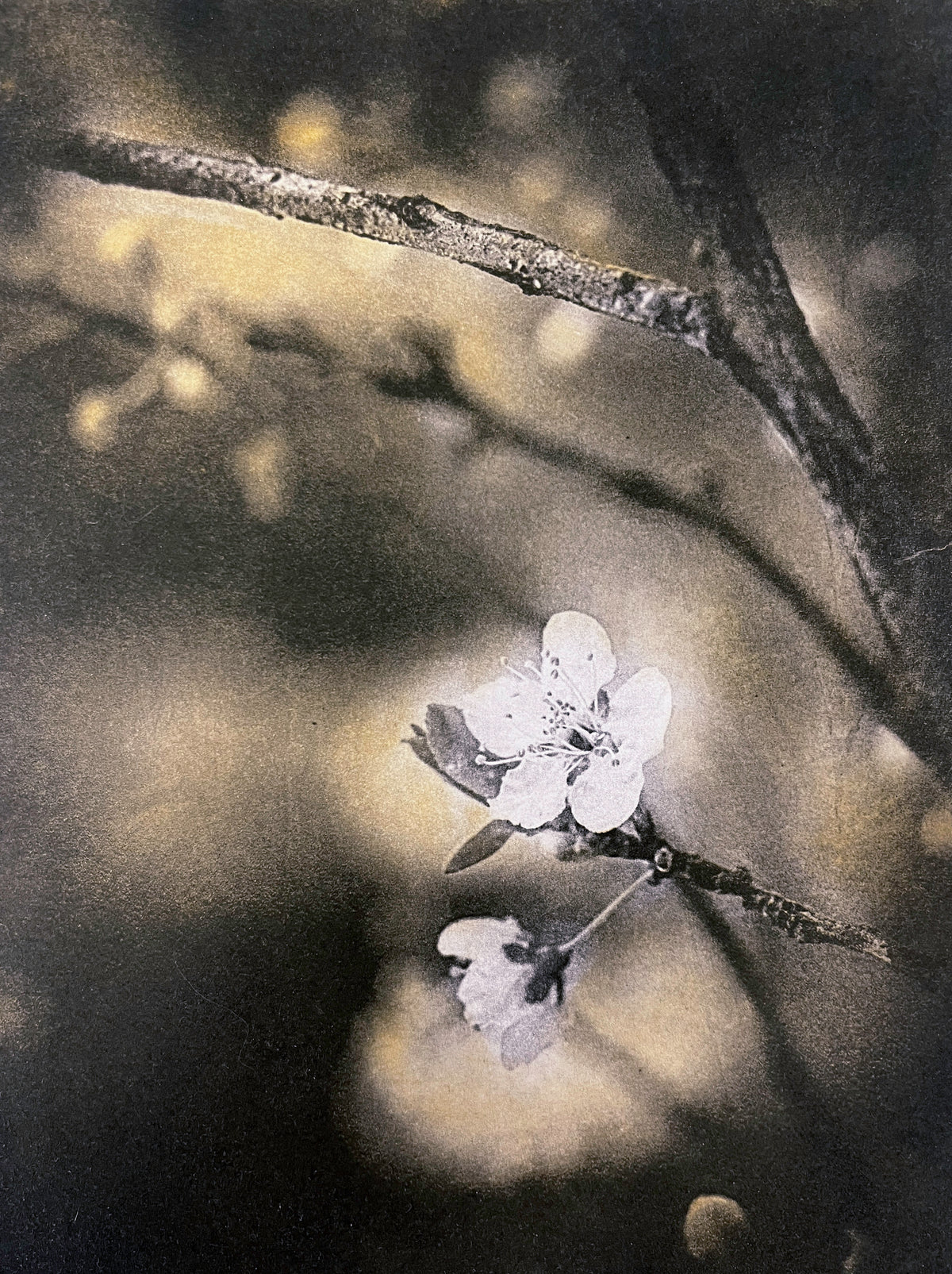 Ephemera