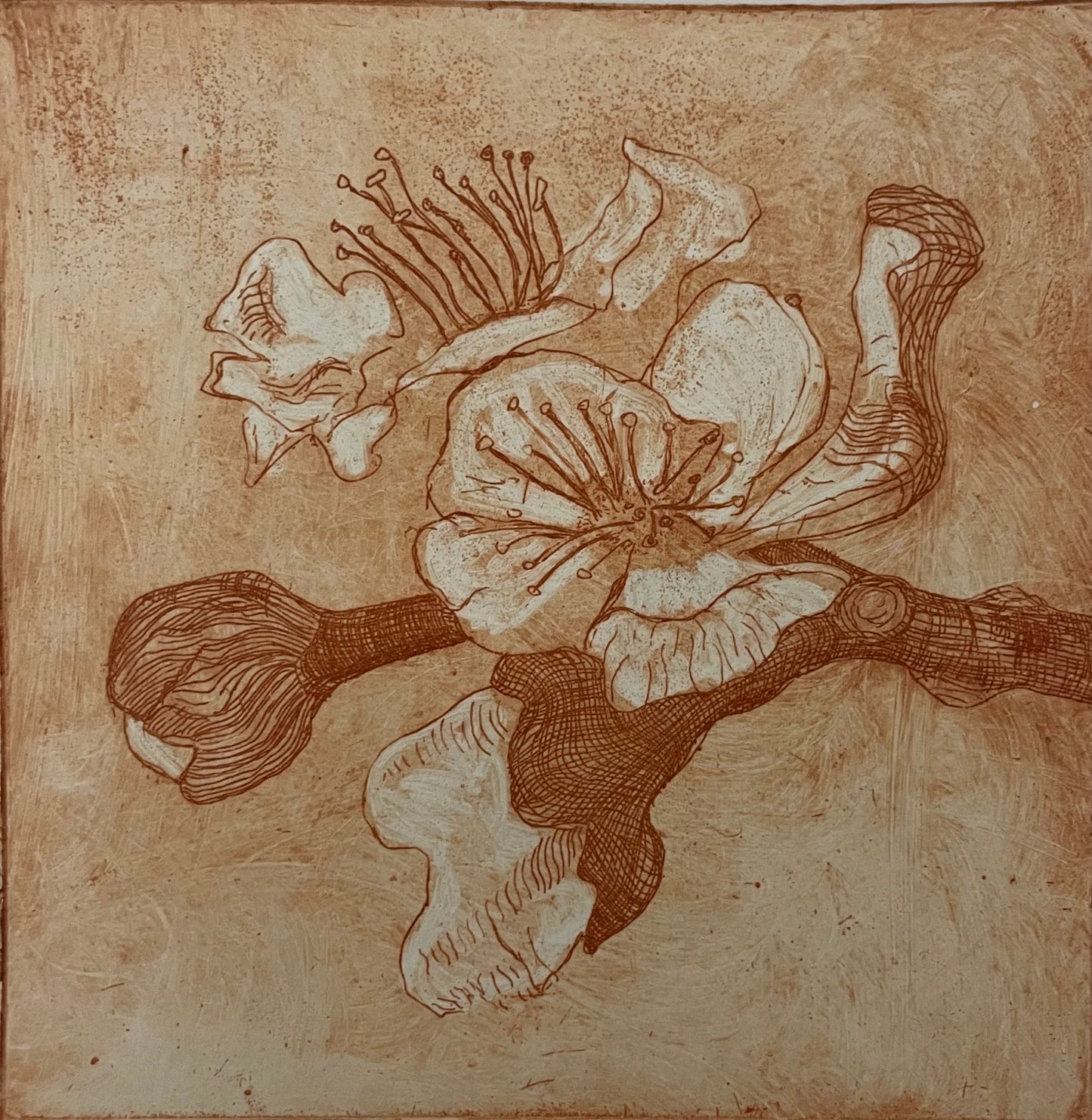 Old Masters, New Tricks: Non-Toxic Etching (March 21 & 22)