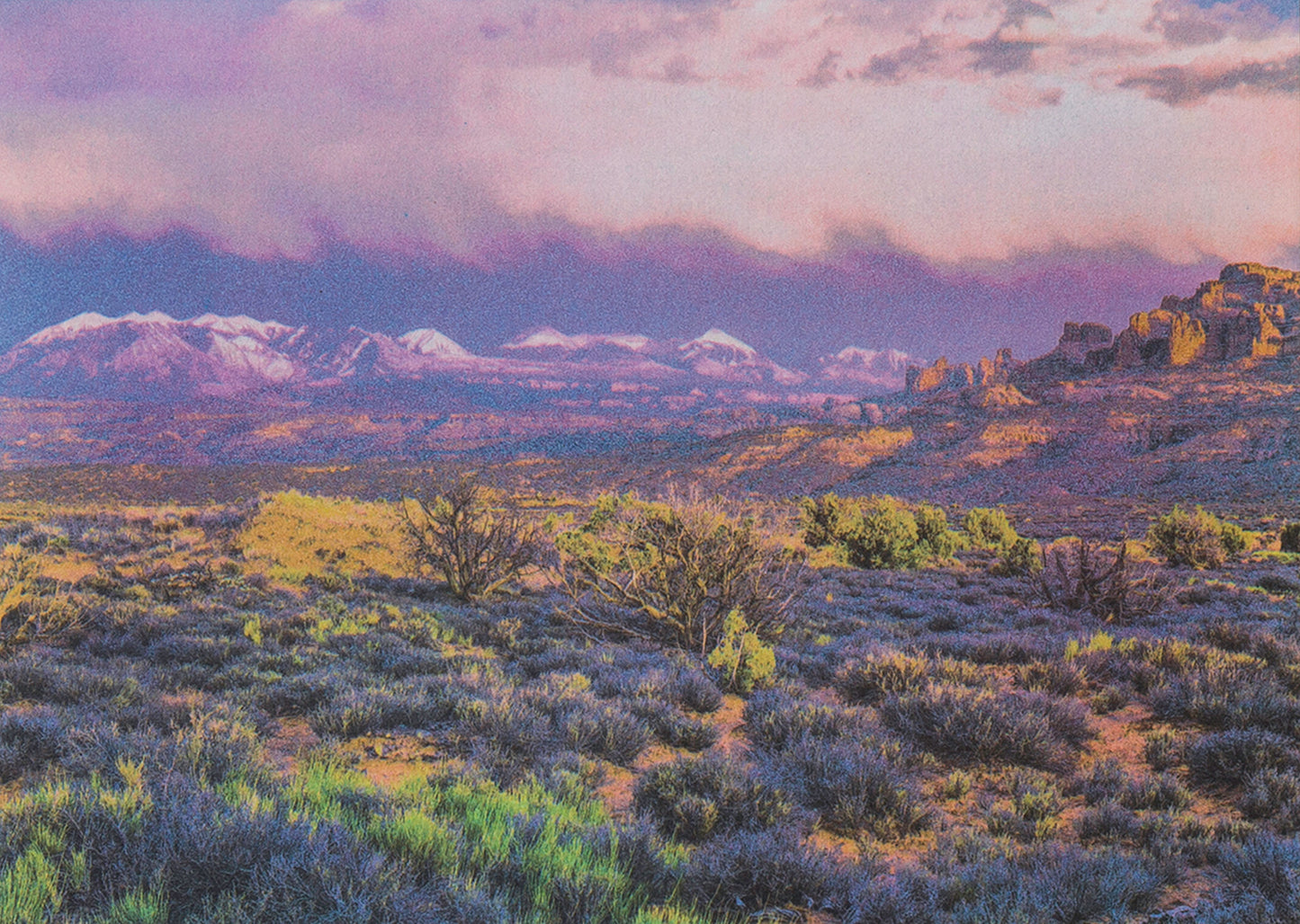 Modern Techniques in Gum Bichromate & Cyanotype (May 16-17)