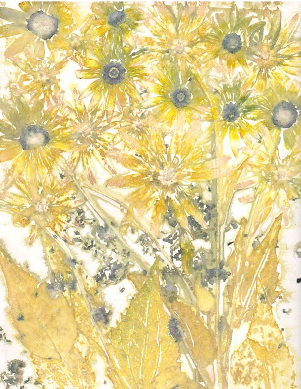 Eco Printing on Paper with Mary DeLano, Sept 12