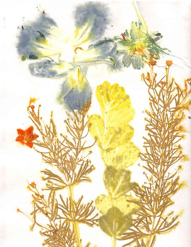 Eco Printing on Paper with Mary DeLano, Sept 12