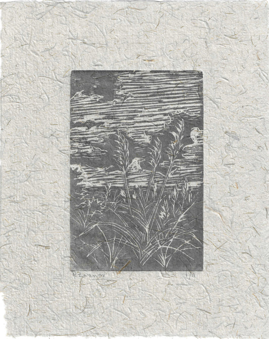 Jubata Grass at Moss Beach