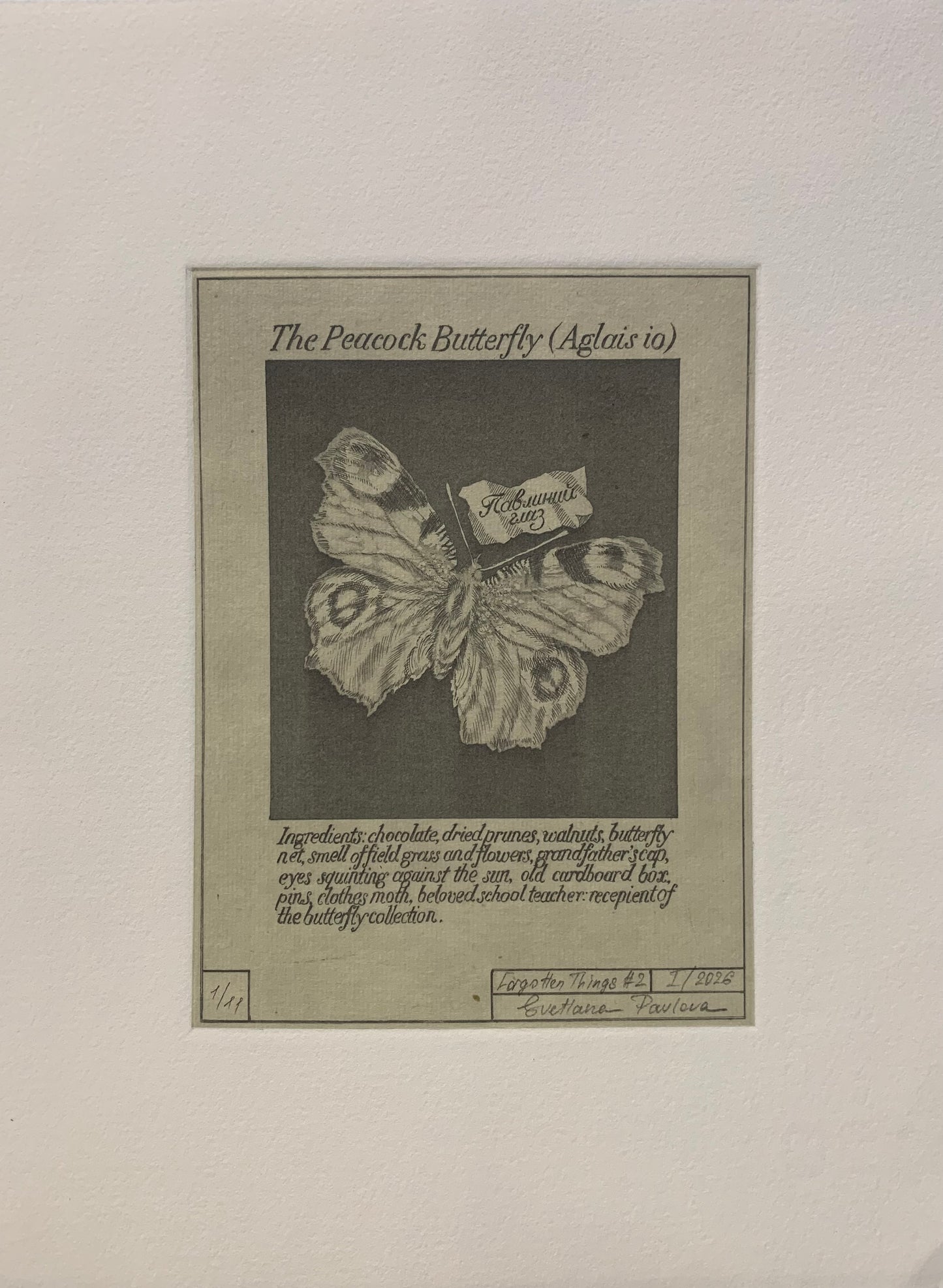 The Peacock Butterfly