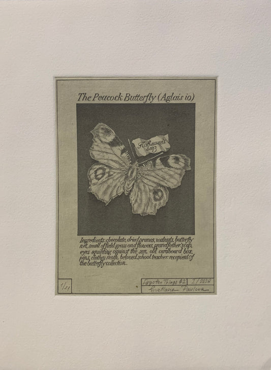 The Peacock Butterfly