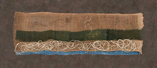 Morning in the Bosque