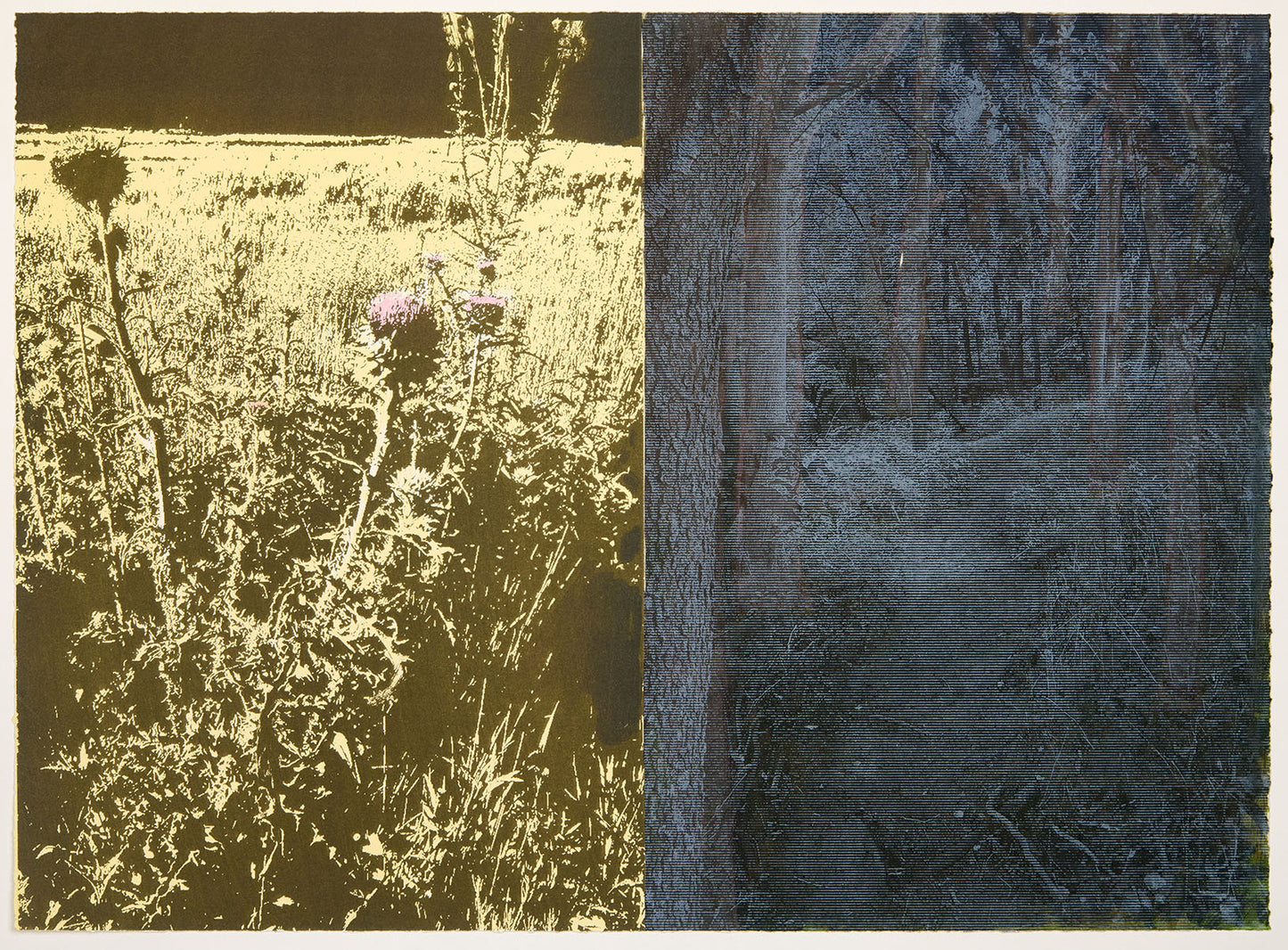 Forests and Thistles