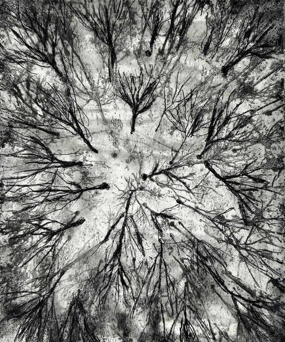 Touching the Sky III