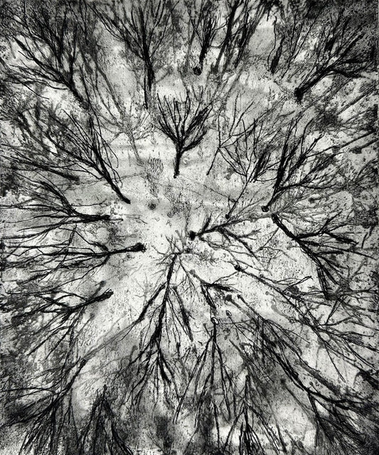 Touching the Sky III
