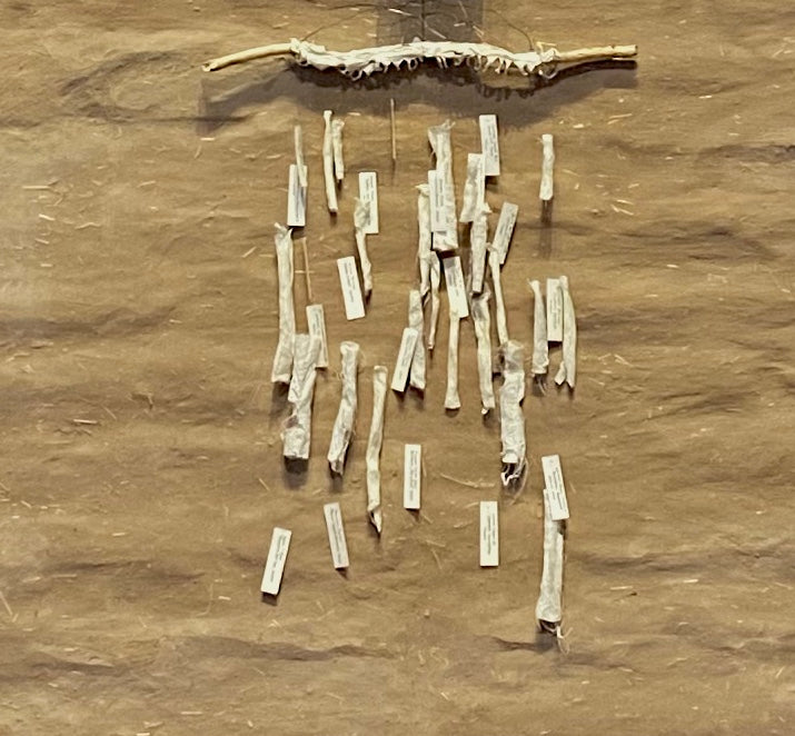 Will These Bones Live