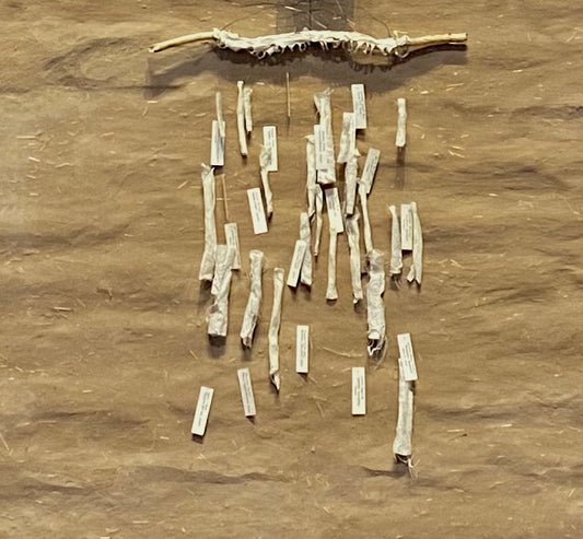 Will These Bones Live