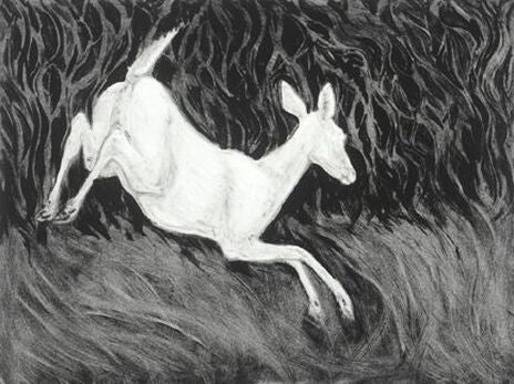 Painting Through Print: Monotype Techniques with Mary Sundstrom (Aug. 29-30)