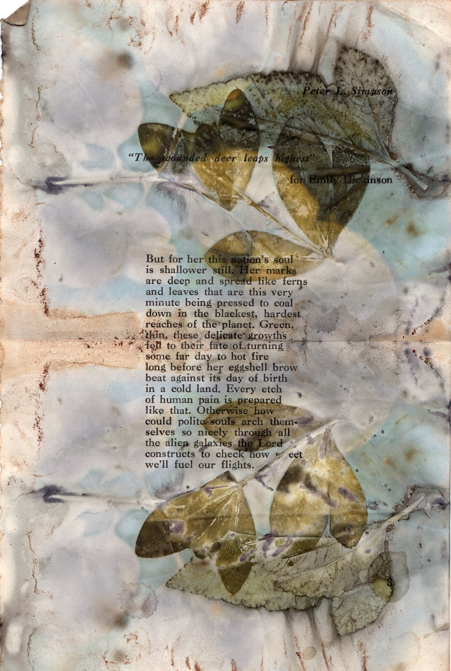 Eco Printing on Paper with Mary DeLano, Sept 12