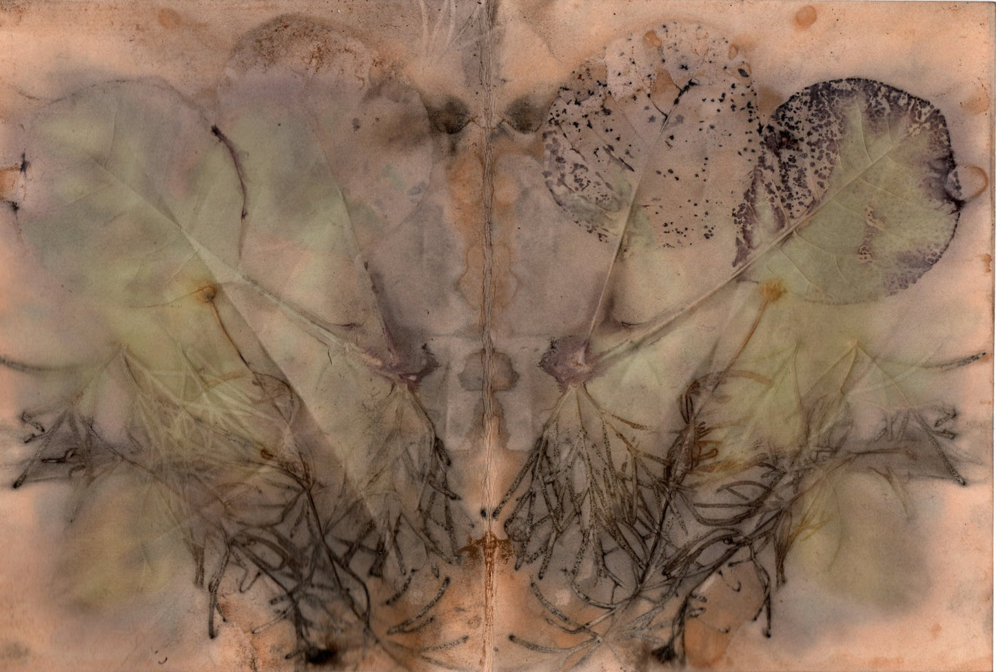 Eco Printing on Paper with Mary DeLano, Sept 12