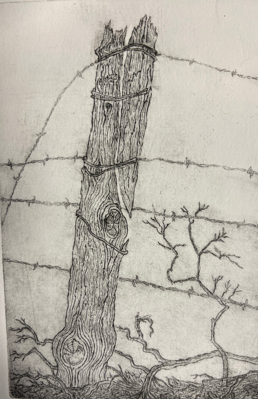 Split Post, McCarron Ranch