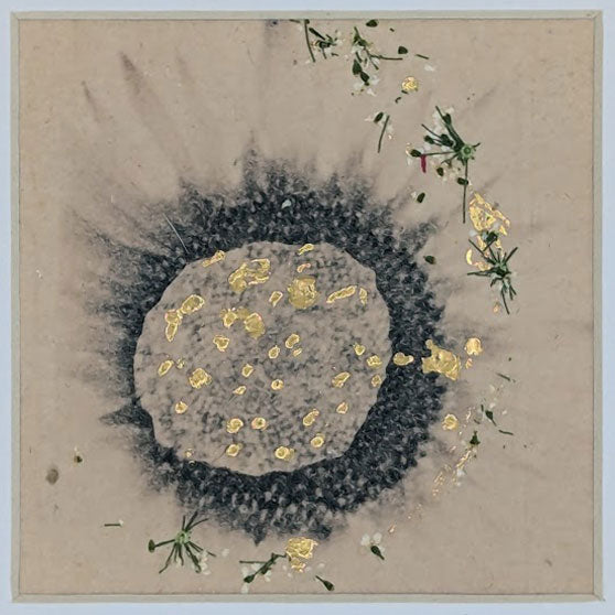 One Bloom, Every Story (Neutral Sunflower)