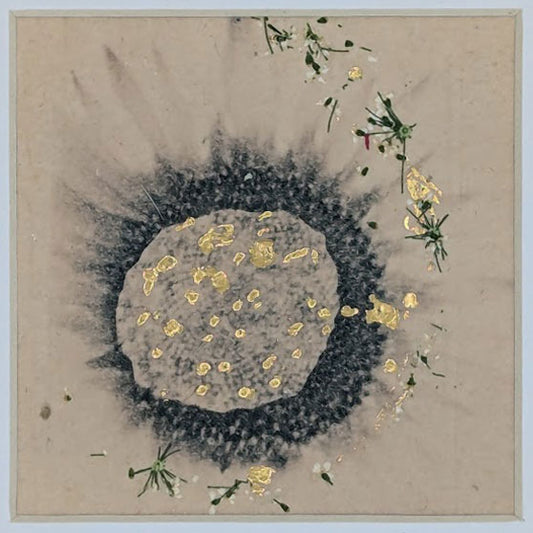 One Bloom, Every Story (Neutral Sunflower)