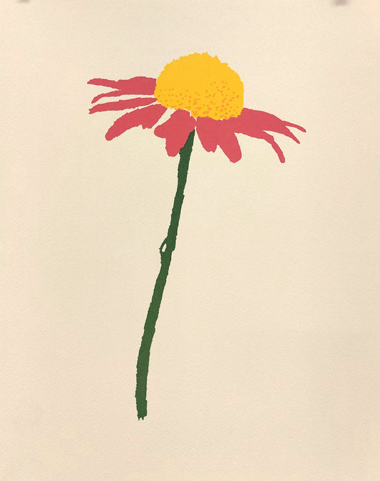 Botanical Representation of a Fancifully Adorned Penis
